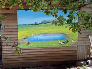 sheffield tasmania murals - artwork on Glencoe country b&b duck house