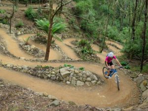 mountain biking tasmania - winding MTB trail